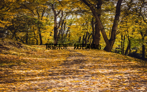 展望未来, 我充满信心