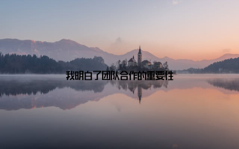 我明白了团队合作的重要性