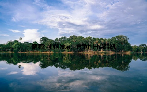 随着行业的发展, 竞争也日益激烈