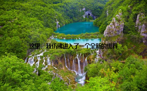 这里, 我仿佛进入了一个全新的世界