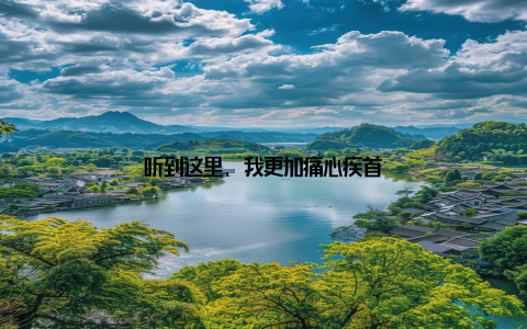 听到这里, 我更加痛心疾首