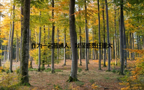 作为一名普通人, 我深感责任重大