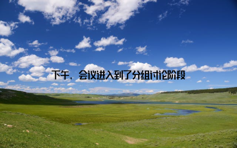 下午, 会议进入到了分组讨论阶段