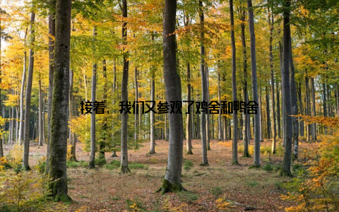 接着, 我们又参观了鸡舍和鸭舍