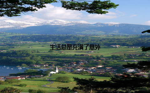 生活总是充满了意外