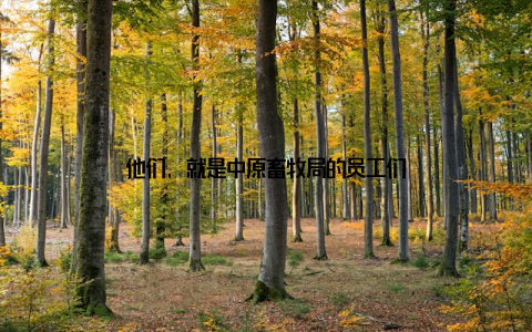 他们, 就是中原畜牧局的员工们