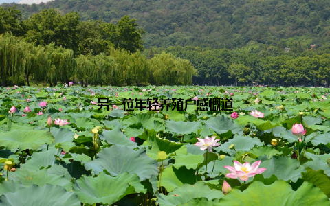 另一位年轻养殖户感慨道