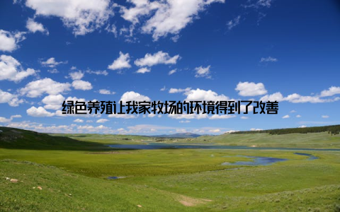 绿色养殖让我家牧场的环境得到了改善