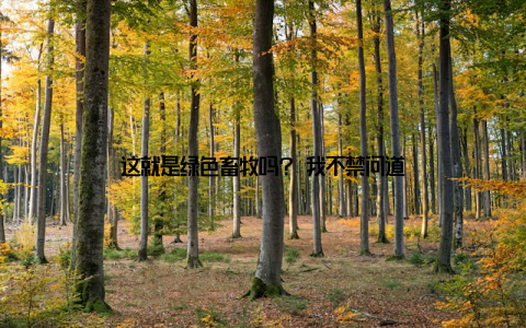 这就是绿色畜牧吗? 我不禁问道