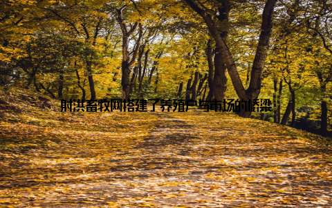 射洪畜牧网搭建了养殖户与市场的桥梁