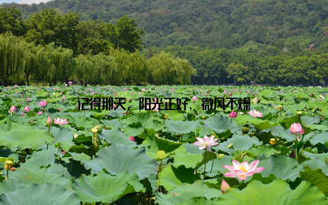 记得那天, 阳光正好, 微风不燥