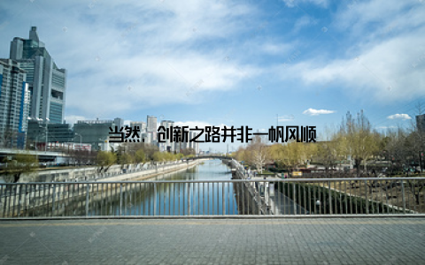 当然, 创新之路并非一帆风顺