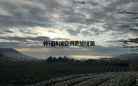 养殖环境变得更加优美