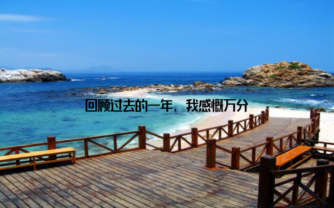 回顾过去的一年, 我感慨万分
