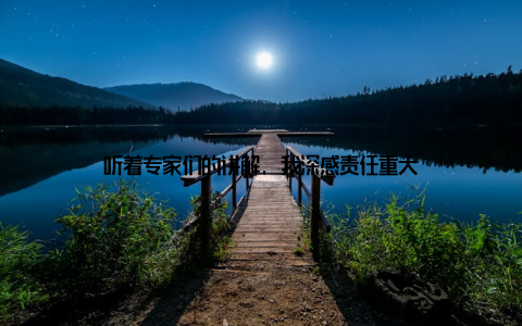 听着专家们的讲解, 我深感责任重大