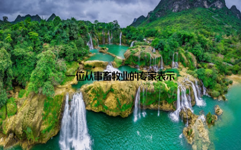 一位从事畜牧业的专家表示