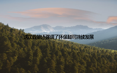 这次政策还强调了环保和可持续发展