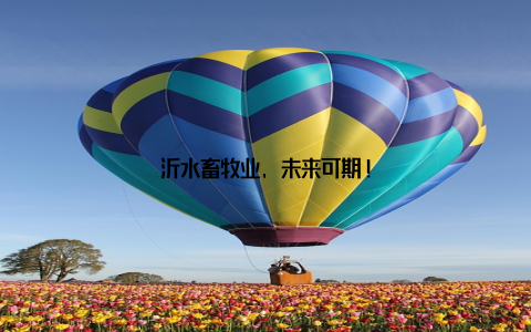 沂水畜牧业, 未来可期!