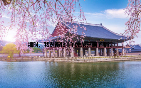 那时, 我对畜牧业的发展充满了期待