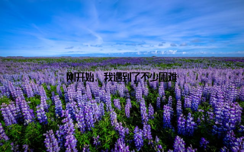 刚开始, 我遇到了不少困难