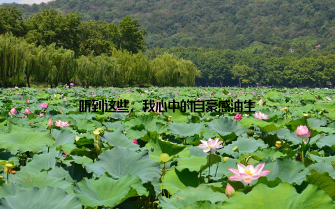 听到这些, 我心中的自豪感油生