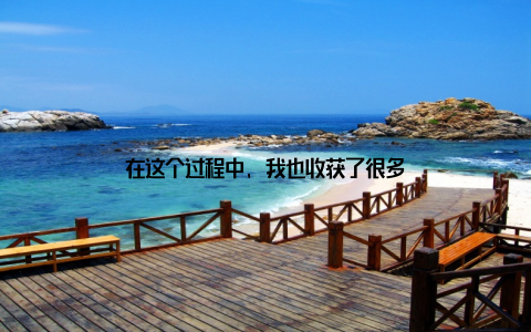 在这个过程中, 我也收获了很多