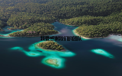 我要感谢我们的团队