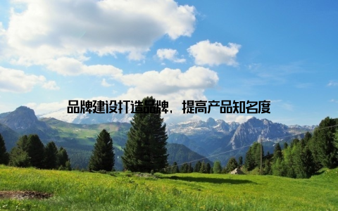 品牌建设打造品牌, 提高产品知名度