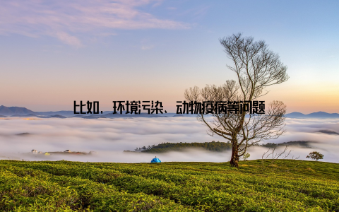 比如, 环境污染、动物疫病等问题