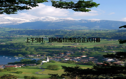 上午9时, 郑州畜牧博览会正式开幕