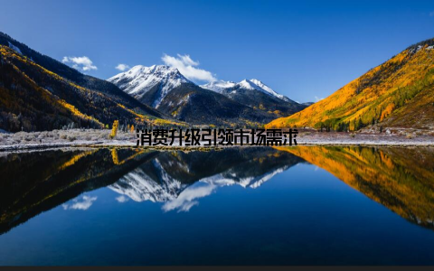 消费升级引领市场需求