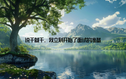 说干就干, 我立刻开始了面试的准备