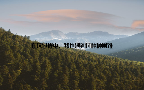 在这过程中, 我也遇到过种种困难