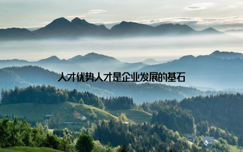 人才优势人才是企业发展的基石