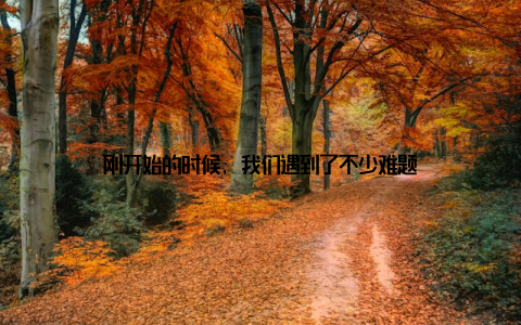 刚开始的时候, 我们遇到了不少难题