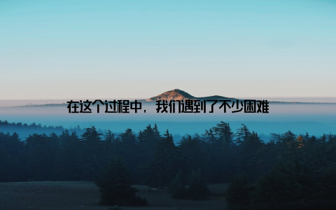 在这个过程中, 我们遇到了不少困难