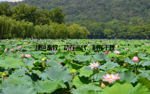 绿色畜牧, 功在当代, 利在千秋