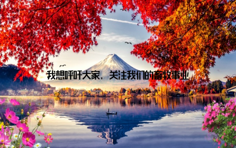 我想呼吁大家, 关注我们的畜牧事业