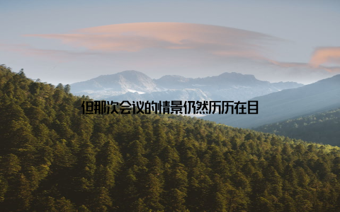 但那次会议的情景仍然历历在目