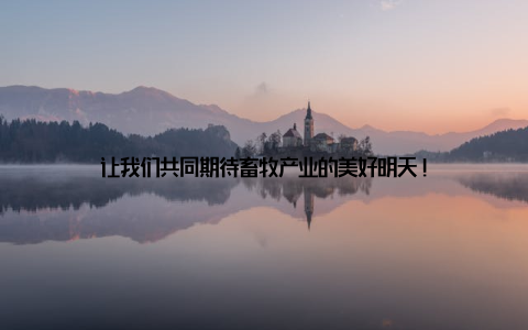 让我们共同期待畜牧产业的美好明天!