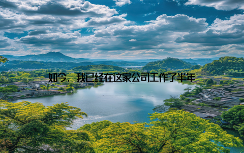 如今, 我已经在这家公司工作了半年