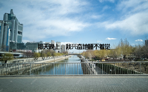 那天晚上, 我兴奋地睡不着觉