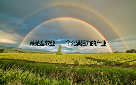 莱芜畜牧业, 一个充满活力的产业