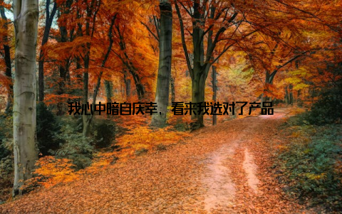 我心中暗自庆幸, 看来我选对了产品