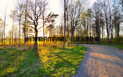 他们辛勤劳作的身影, 让我深感敬佩