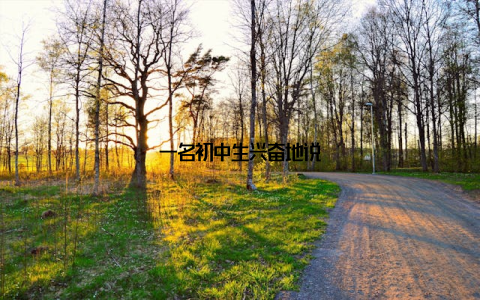 一名初中生兴奋地说