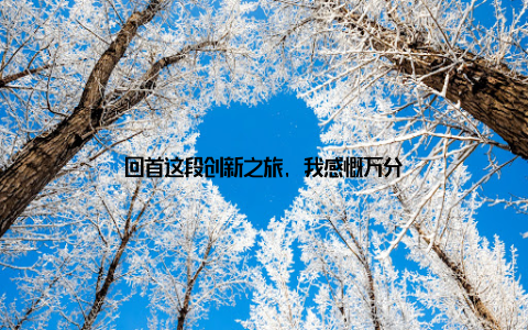 回首这段创新之旅, 我感慨万分