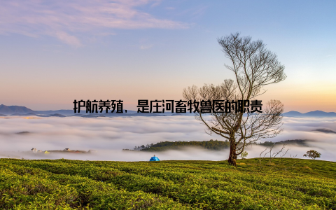 护航养殖, 是庄河畜牧兽医的职责