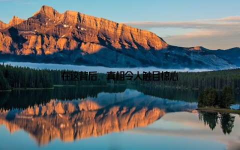 在这背后, 真相令人触目惊心