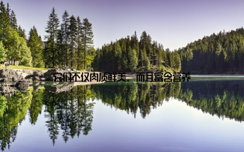 它们不仅肉质鲜美, 而且富含营养